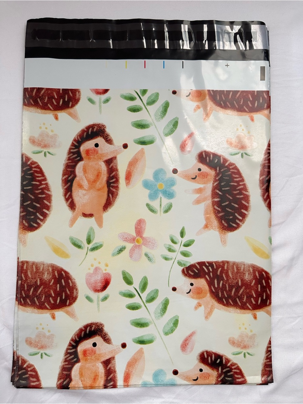 Fall Autumn Poly Mailer Variety Pack 10x13 Pumpkin Spice Happy Fall Hedgehogs - Picture 8 of 14